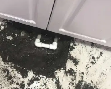 西陵查漏水哪家好